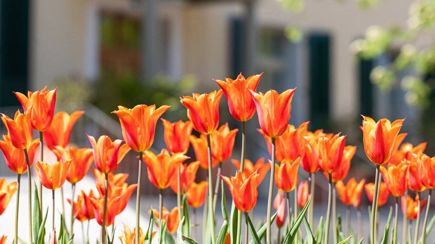 Siloah Langzeit Kühlewil: Impressionen
