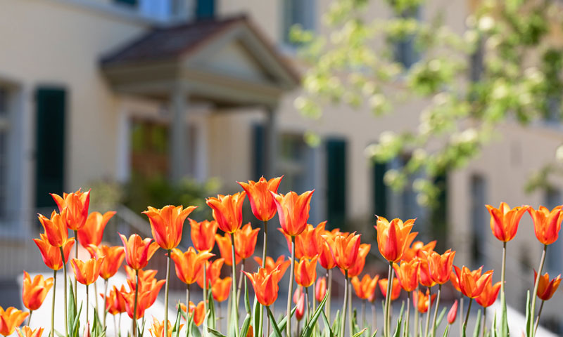 Impressionen Impressionen